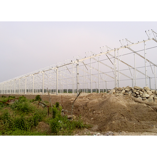 Steel Structure For Cow House